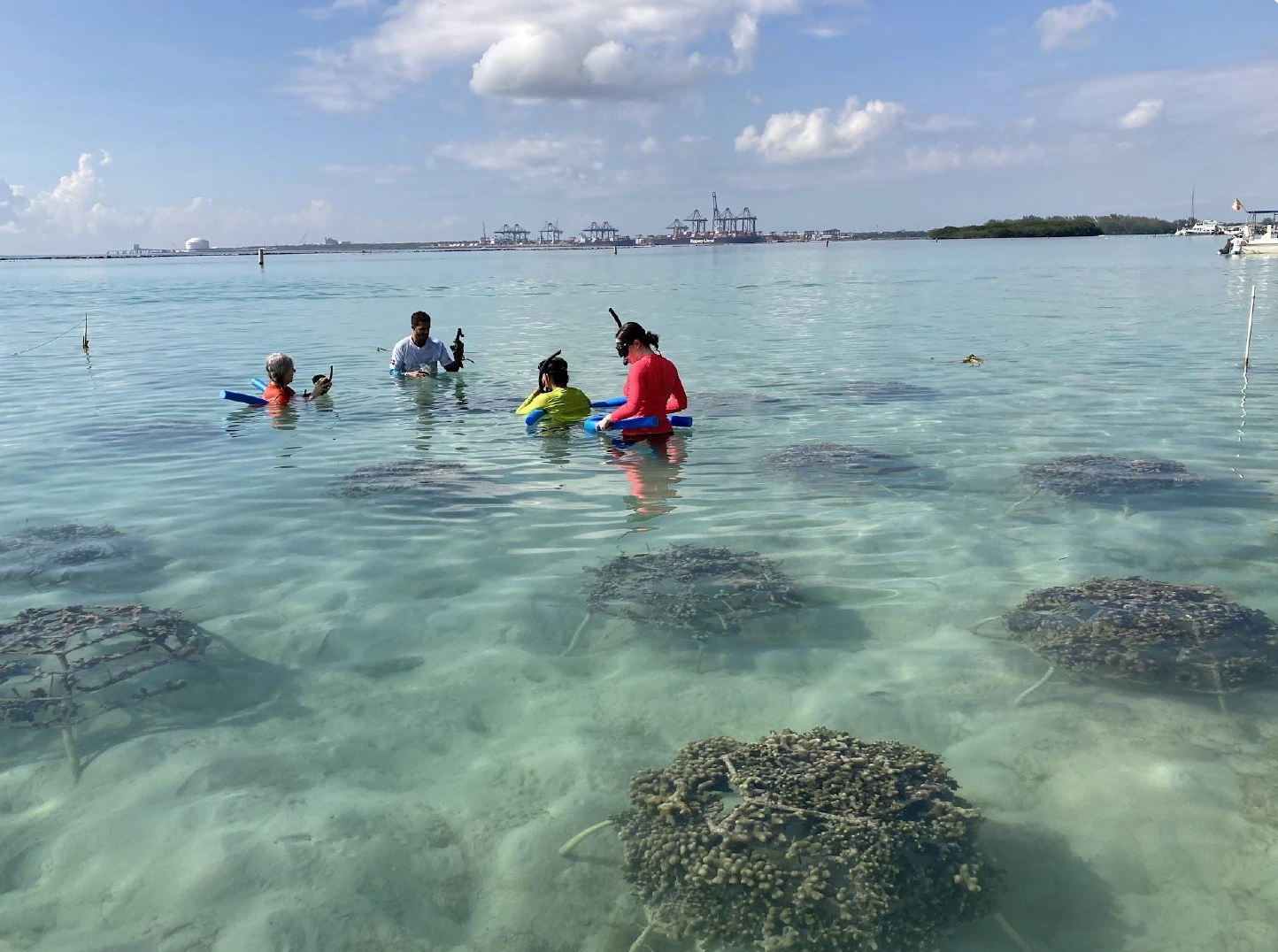 Conservation volunteers abroad tending a coral nursery underwater