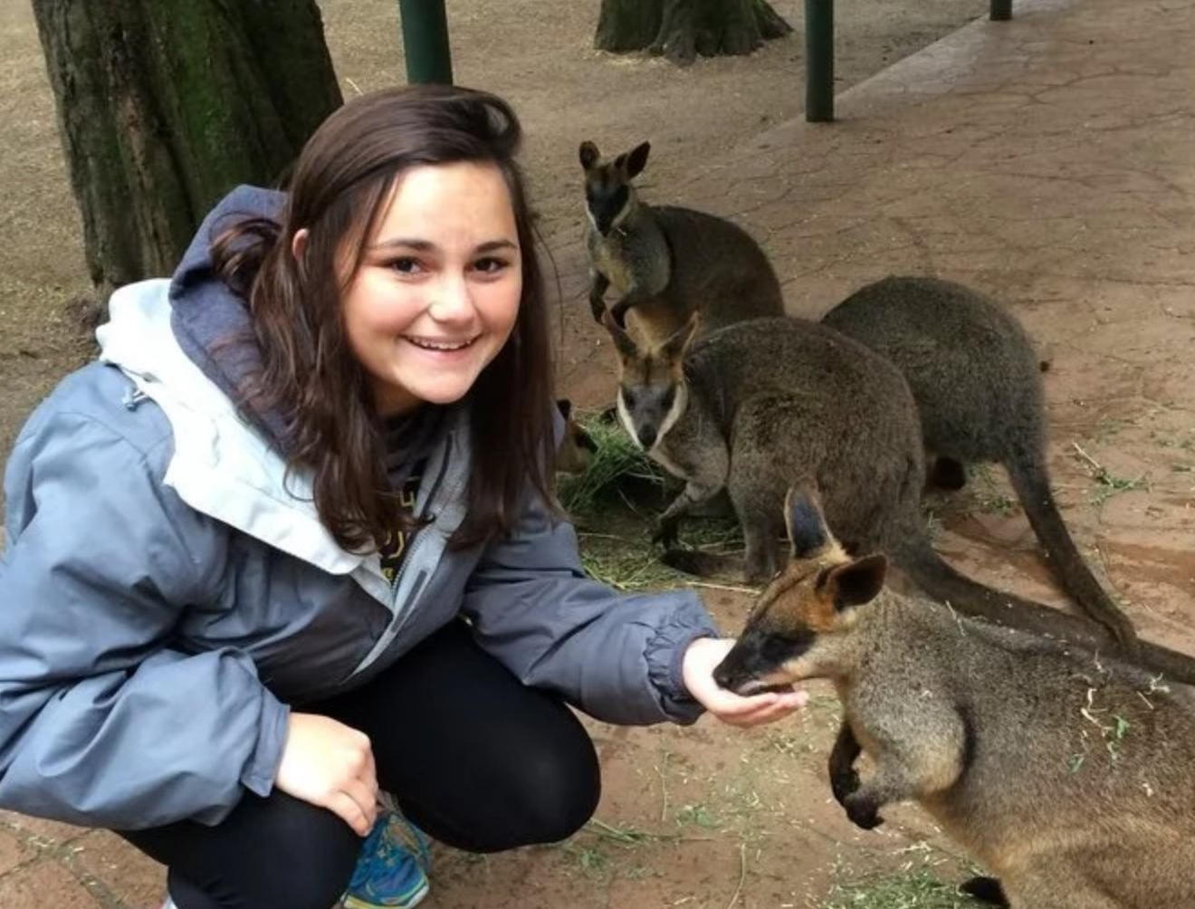 Wildlife Sanctuary Work