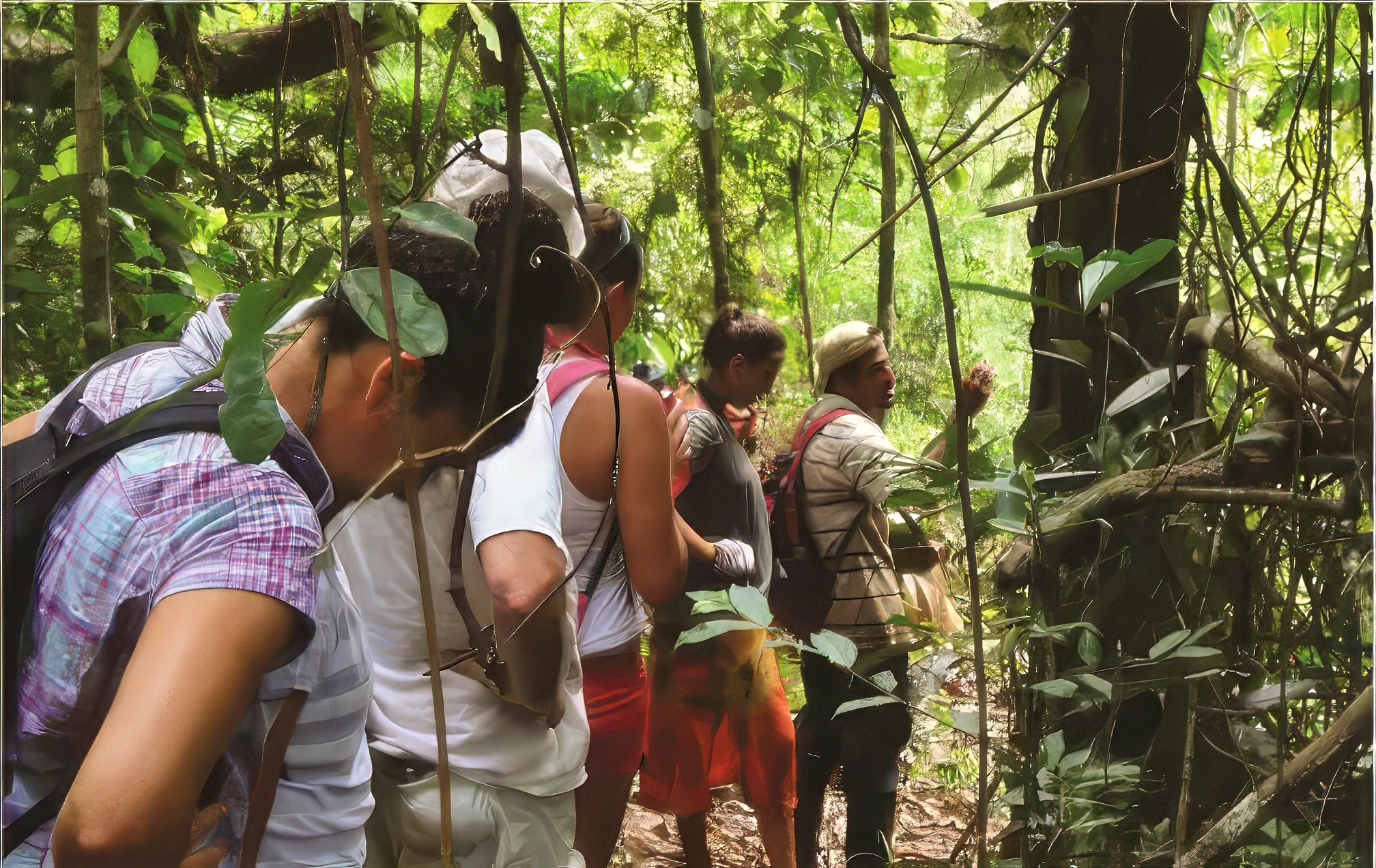 Into the Jungle Together