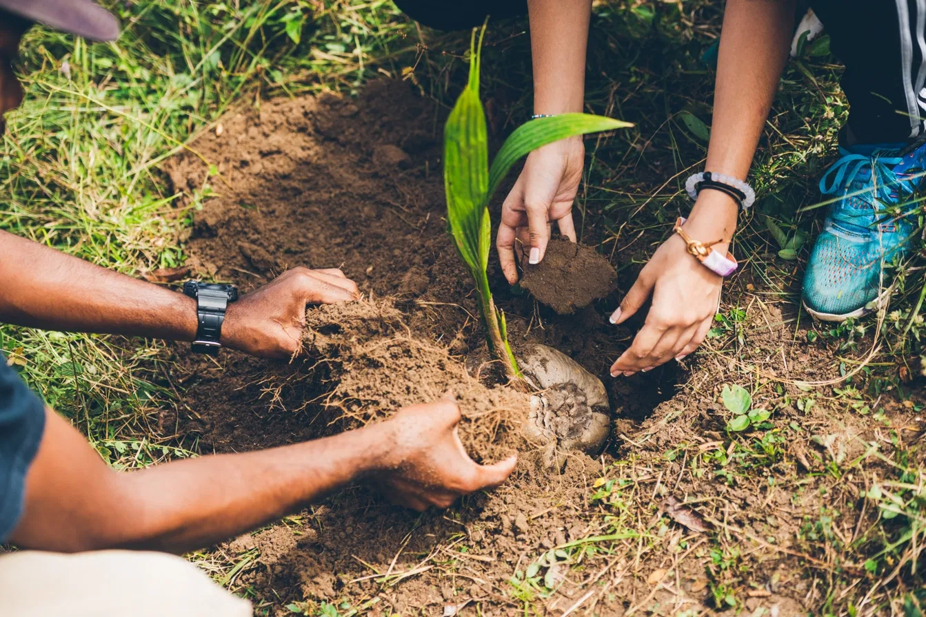 Planting for the Future