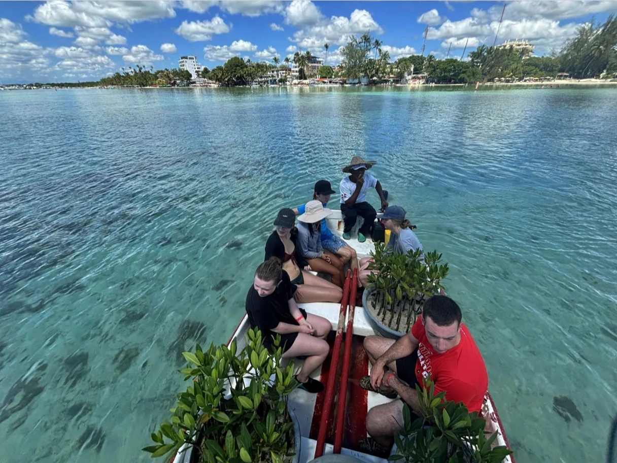 Cohort travelling by boat across a shallow lagoon with mangrove seedlings