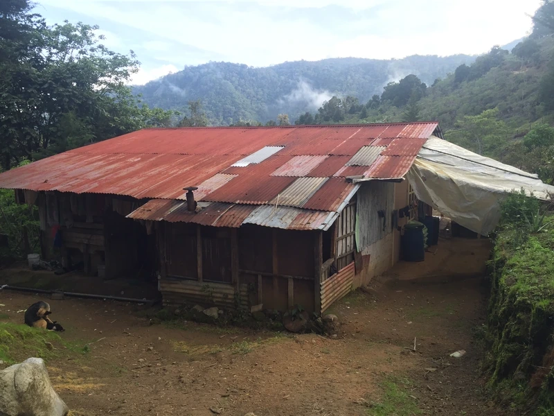 A tin-roofed home on a hillside in the Costa Rican cloud forest