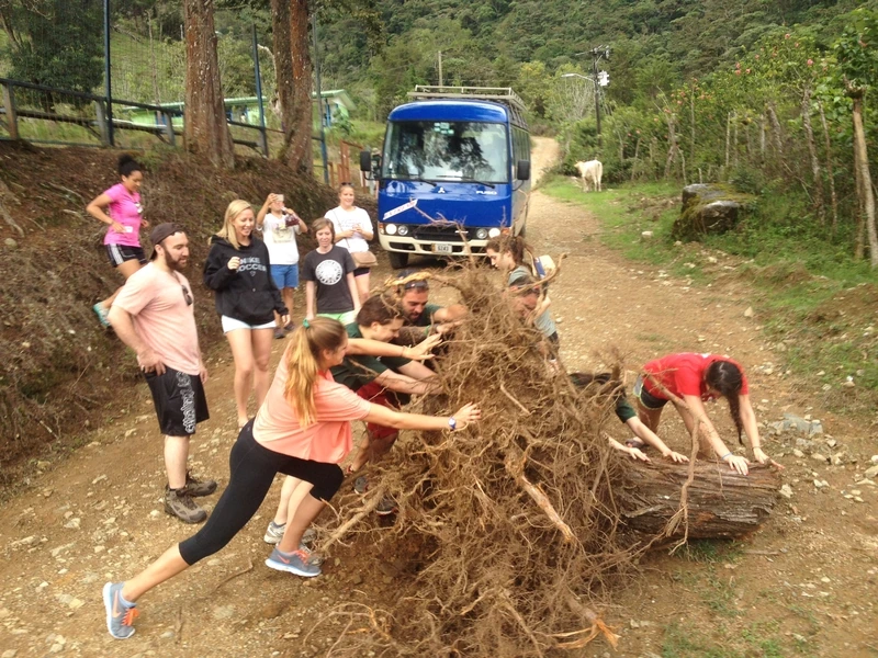 Volunteers pushing a large fallen tree root off a dirt road in front of a bus