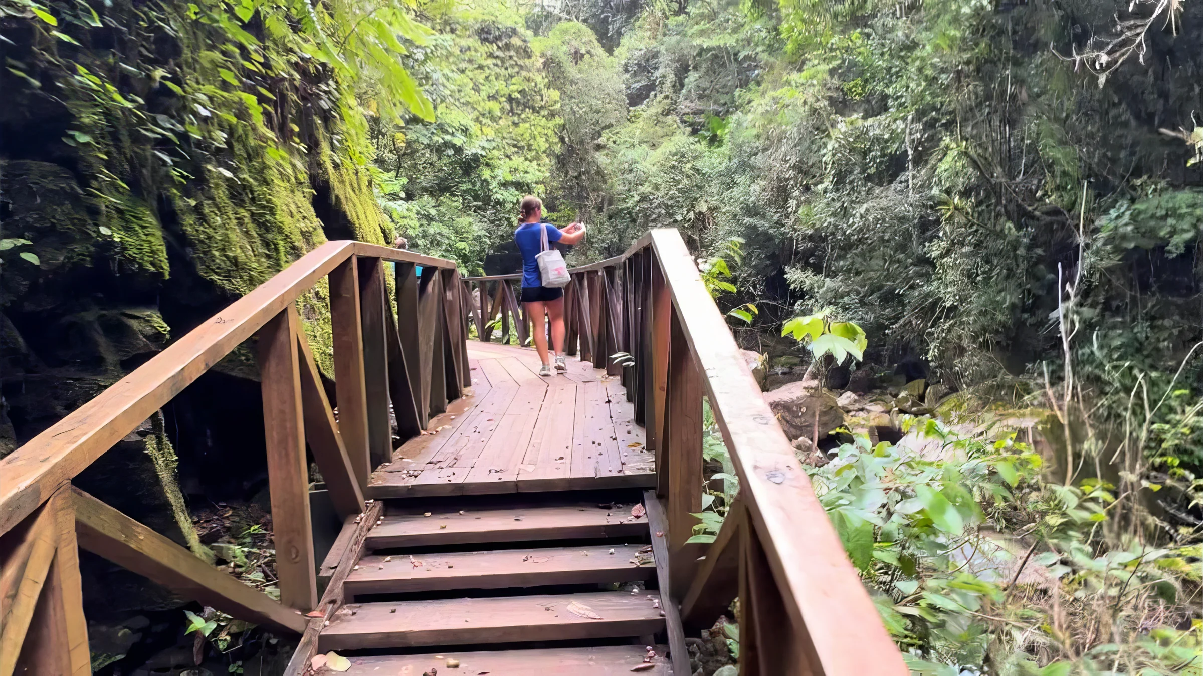 A hiker crossing a wooden plank bridge over a stream in dense Costa Rican jungle