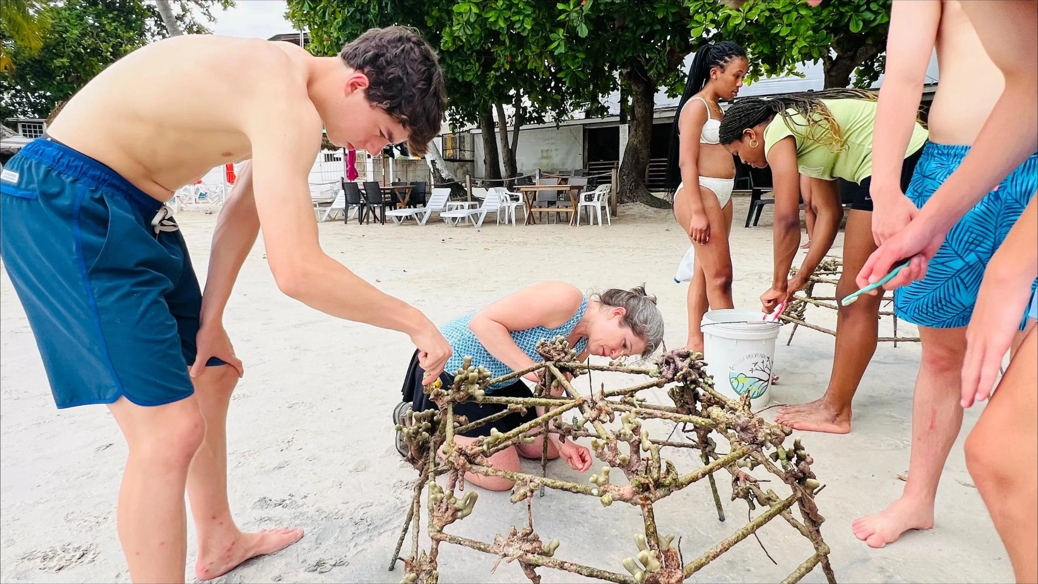 Volunteers cultivating coral in a nursery