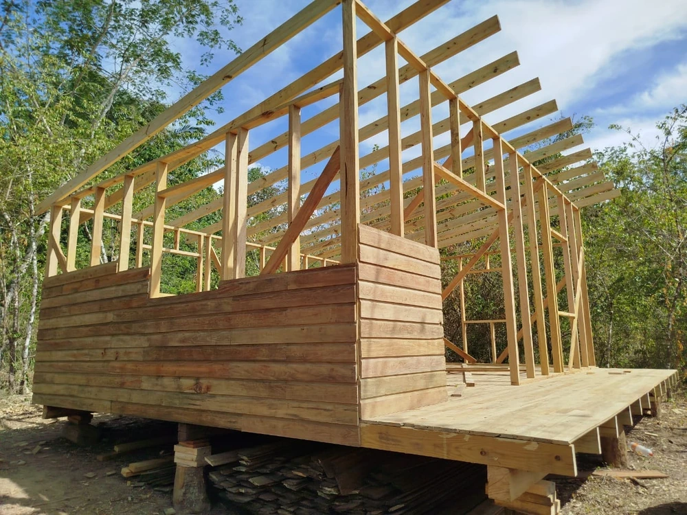 A bare timber frame with roof joists standing on posts in the Belizean bush